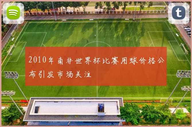 2010年南非世界杯比赛用球价格公布引发市场关注