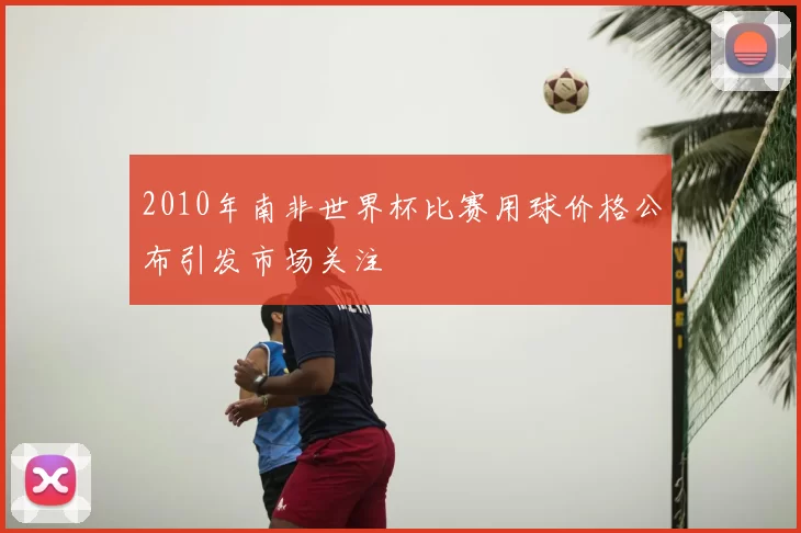 2010年南非世界杯比赛用球价格公布引发市场关注