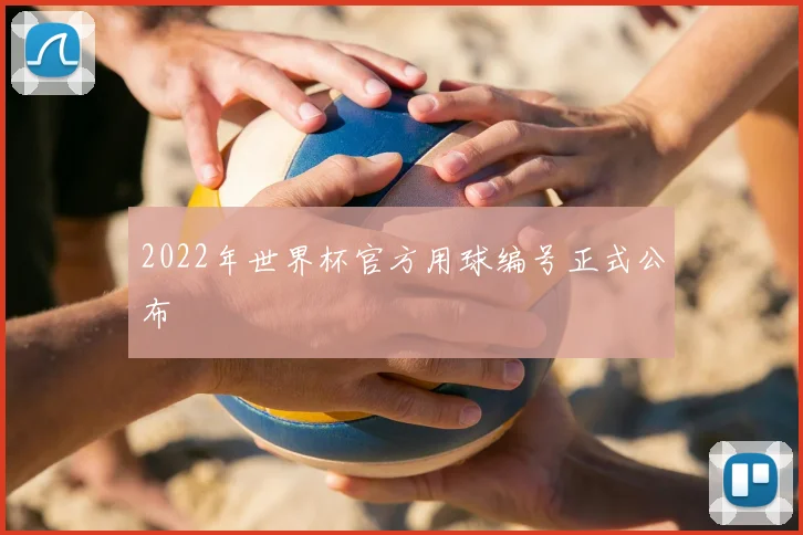 2022年世界杯官方用球编号正式公布