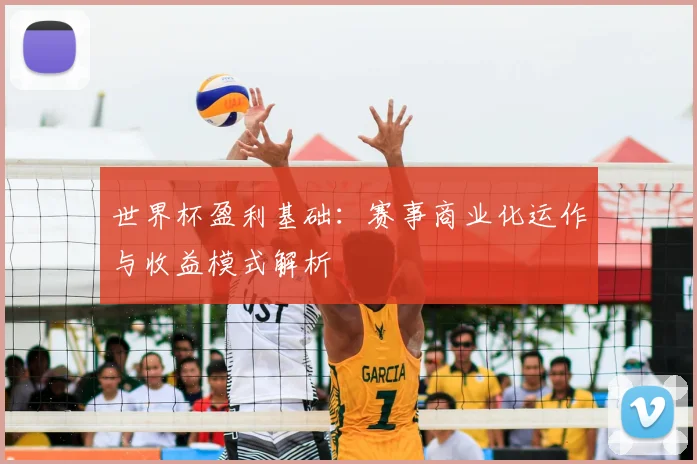 世界杯盈利基础：赛事商业化运作与收益模式解析