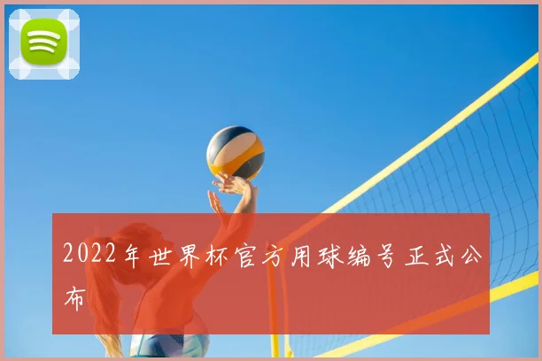 2022年世界杯官方用球编号正式公布