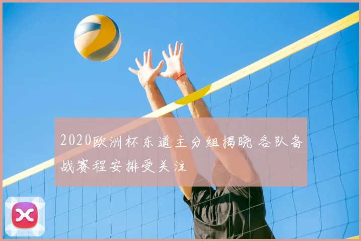 2020欧洲杯东道主分组揭晓 各队备战赛程安排受关注