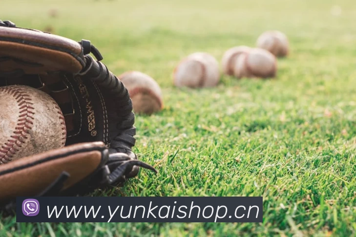 App Interface Preview